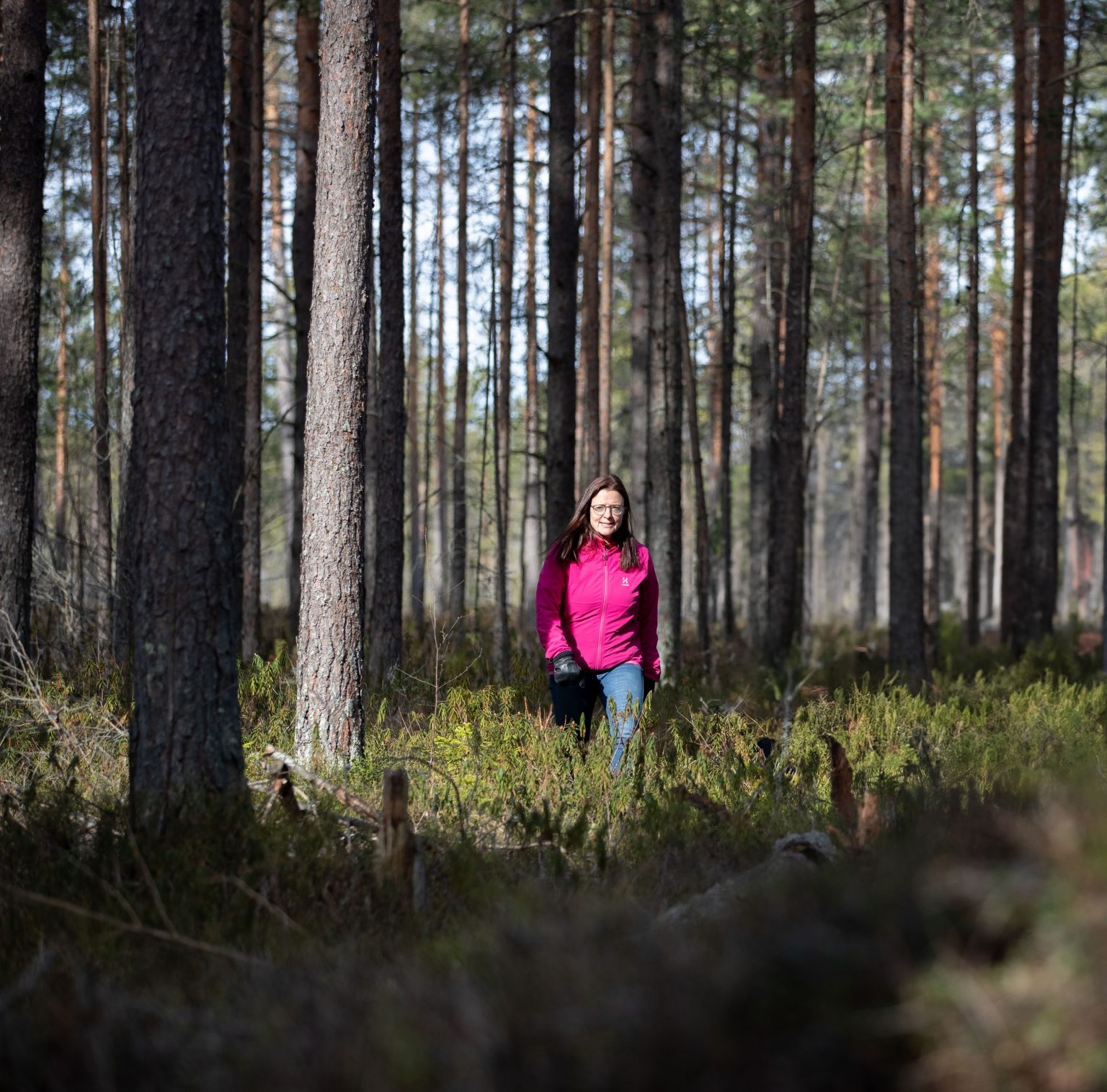 Hållbar framtid