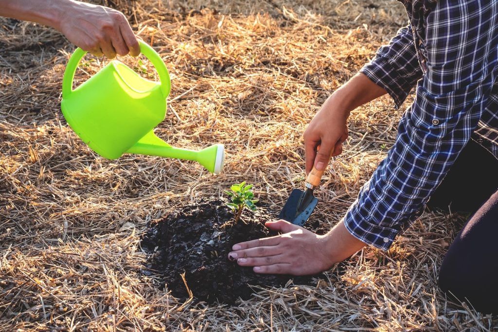 Carbon offsetting, Impact Finder