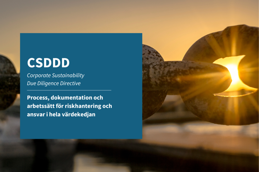 CSDDD