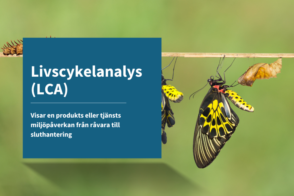 Livscykelanalys