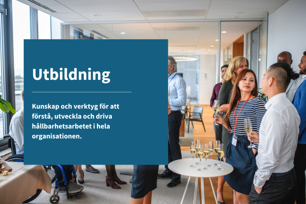 Utbildning
