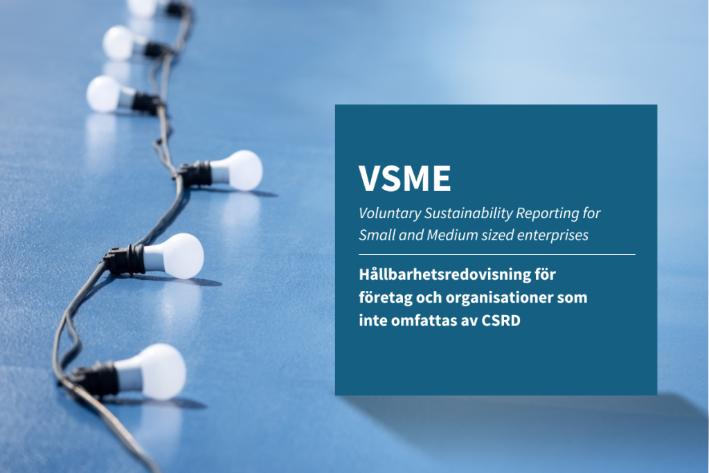 VSME