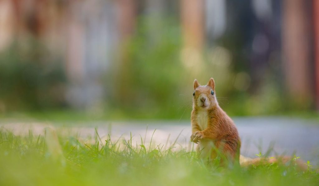 science based targets network